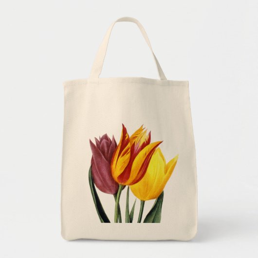 Tulpe (Tulipa Gesneriana) Tragetasche (Vorne)