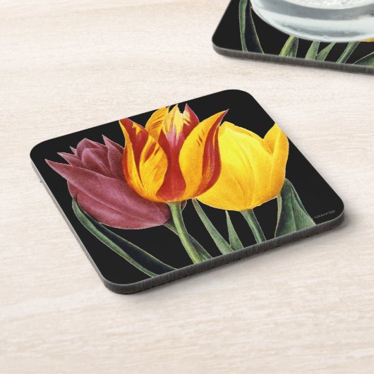 Tulpe (Tulipa Gesneriana) Untersetzer (Linke Seite)