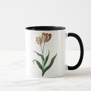 Tulpe-Tulpe Tasse