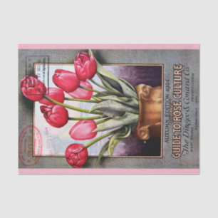 Tulpe-und Rosen-Katalog 10" X 15" Seidenpapier