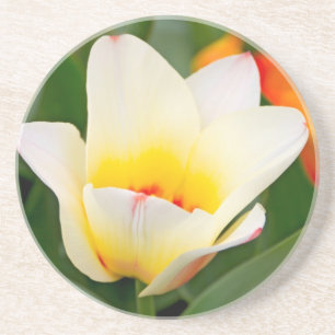 Tulpe Untersetzer