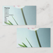 Tulpe Visitenkarte (Vorne/Hinten)