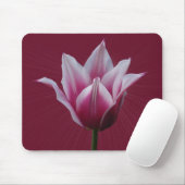Tulpe w/sunburst ~ mousepad (Mit Mouse)
