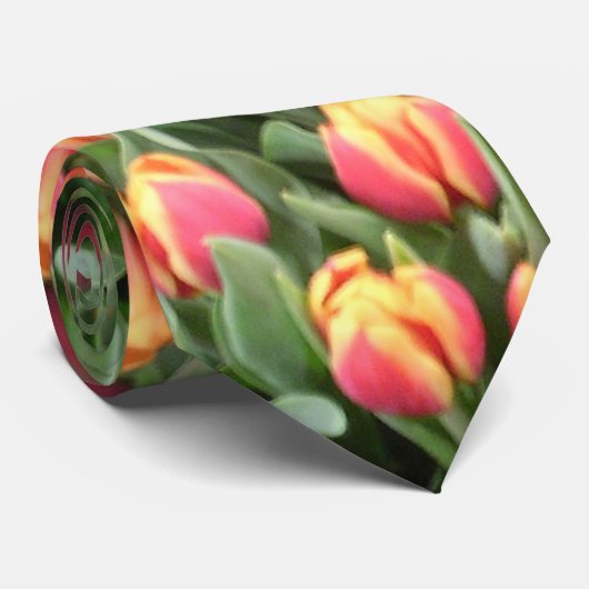 Tulpe-Zeit Krawatte (Gerollt)