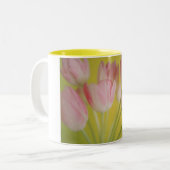 Tulpe Zweifarbige Tasse (Vorderseite Links)