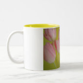 Tulpe Zweifarbige Tasse (Links)