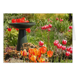 Tulpebrunnenkarte