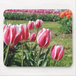 Tulpegarten mousepad