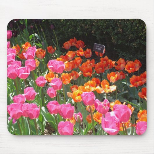 Tulpegarten mousepad (Vorne)