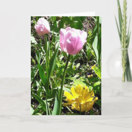 Tulpegrußkarte Karte