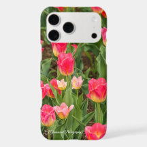 Tulpen