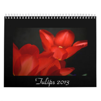 Tulpen 2013 kalender