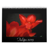Tulpen 2013 kalender (Titelbild)