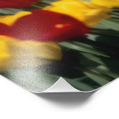 Tulpen 2 fotodruck (Ecke)