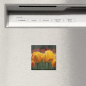 Tulpen 2 magnet (In Situ (Geschirrspüler))