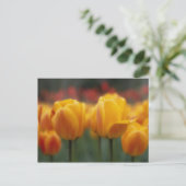 Tulpen 2 postkarte (Stehend Vorderseite)