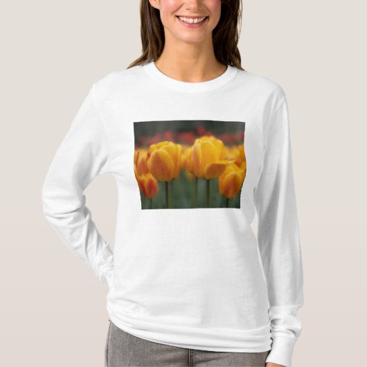 Tulpen 2 T-Shirt (Vorderseite)