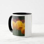 Tulpen 2 tasse (Vorderseite Links)