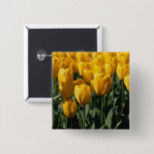 Tulpen 3 button (Vorne & Hinten)