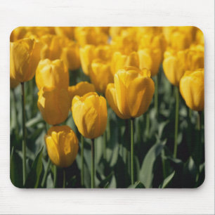 Tulpen 3 mousepad
