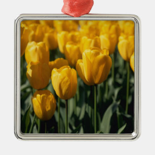 Tulpen 3 ornament aus metall