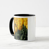 Tulpen 3 tasse (Vorderseite Links)
