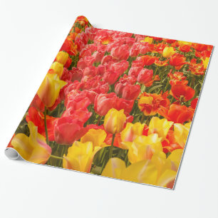 Tulpen auf glänzendem Geschenkpapier