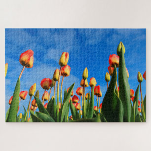 Tulpen aus Amsterdam. Puzzle