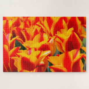 Tulpen aus Amsterdam. Puzzle