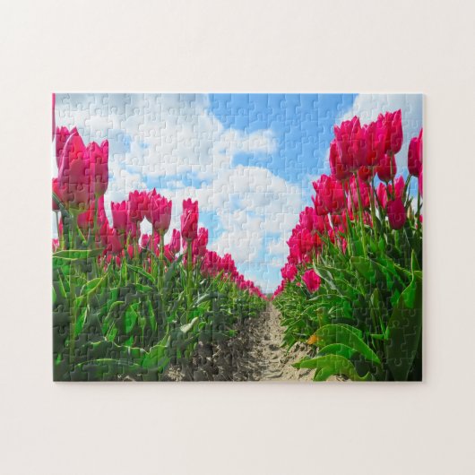 Tulpen aus Amsterdam. Puzzle (Horizontal)