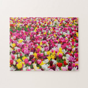 Tulpen aus Amsterdam. Puzzle