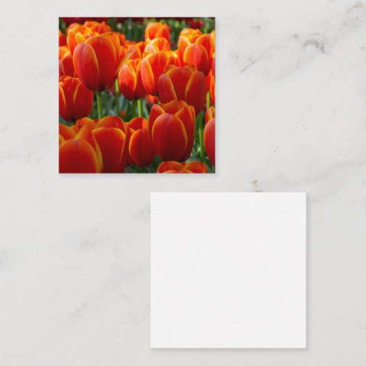 Tulpen Begleitkarte (Vorne/Hinten)