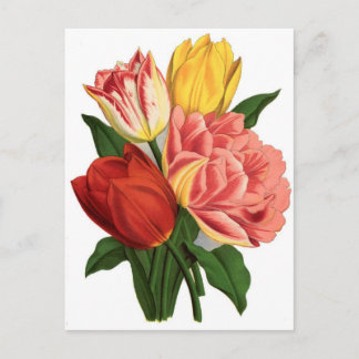 Tulpen blühen Vintage Weinberge schöne Blume Postkarte