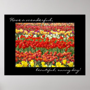 Tulpen-Blumenkunst-Drucke Farbige Wundervolle Tag Poster