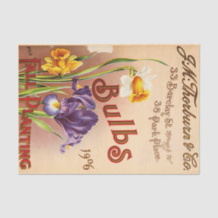Tulpen-Blüten-Samenpackung im Vintage-Stil Seidenpapier