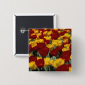 Tulpen Button (Vorne & Hinten)