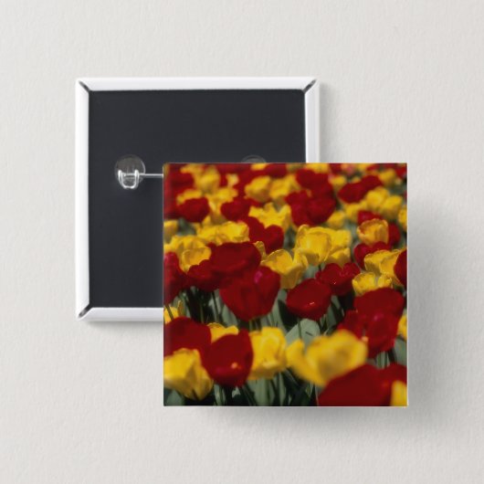 Tulpen Button (Vorne & Hinten)