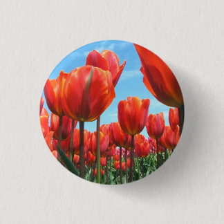 Tulpen Button
