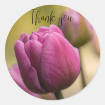 Tulpen Dankeschön