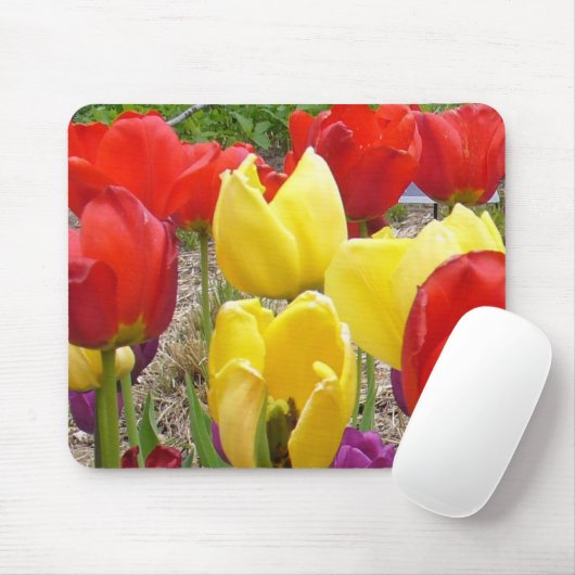 Tulpen des Botanischen Gartens Mousepad (Mit Mouse)
