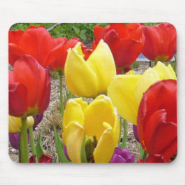 Tulpen des Botanischen Gartens Mousepad