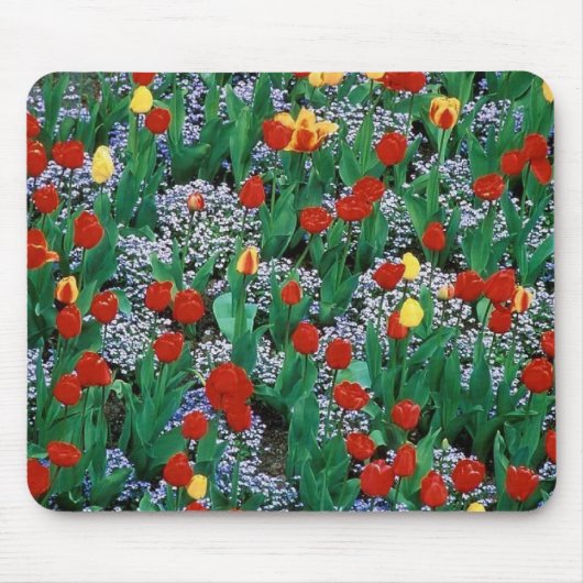 Tulpen durch TDGallery Mousepad (Vorne)