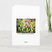 Tulpen Feiertagskarte (Rückseite)