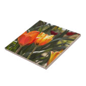 Tulpen Fliese (Seite)