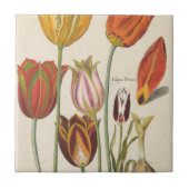 Tulpen Fliese (Vorderseite)