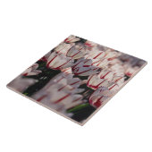 Tulpen Fliese (Seite)