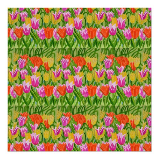 Tulpen Foto (Vorne)