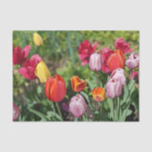 Tulpen-Foto-Seidenpapier Seidenpapier (Vorderseite)
