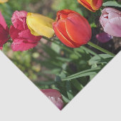 Tulpen-Foto-Seidenpapier Seidenpapier (Ausschnitt)