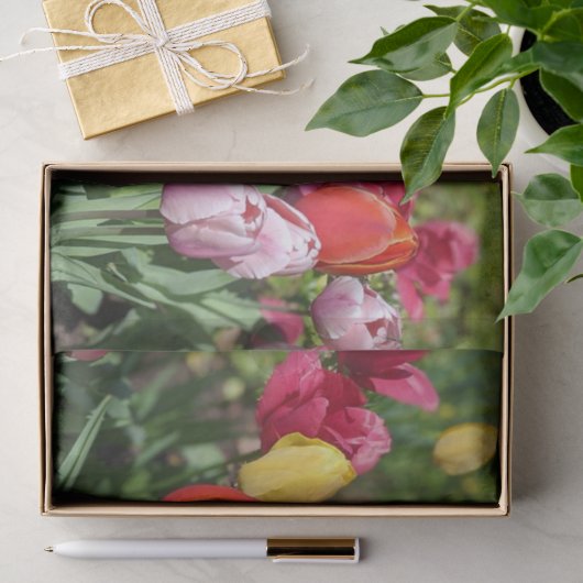 Tulpen-Foto-Seidenpapier Seidenpapier (Geschenk)